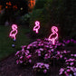 Solar Lawn Lamp Ground Lamp Flamingo Neon Lamp Outdoor Waterproof Courtyard Lamp Garden Products Garden Accessories - DALOUNE