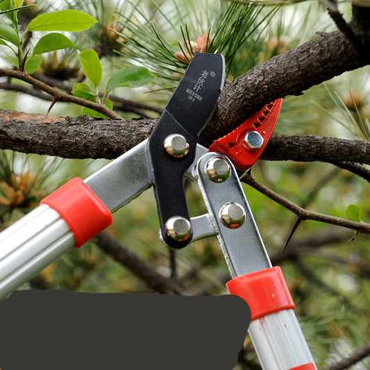 Small Scissors With Aluminum Handle Garden Pruning Garden Tools - DALOUNE